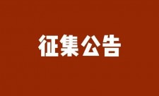 征集公告